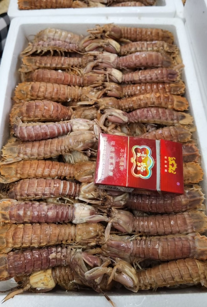 熟冻皮皮虾
