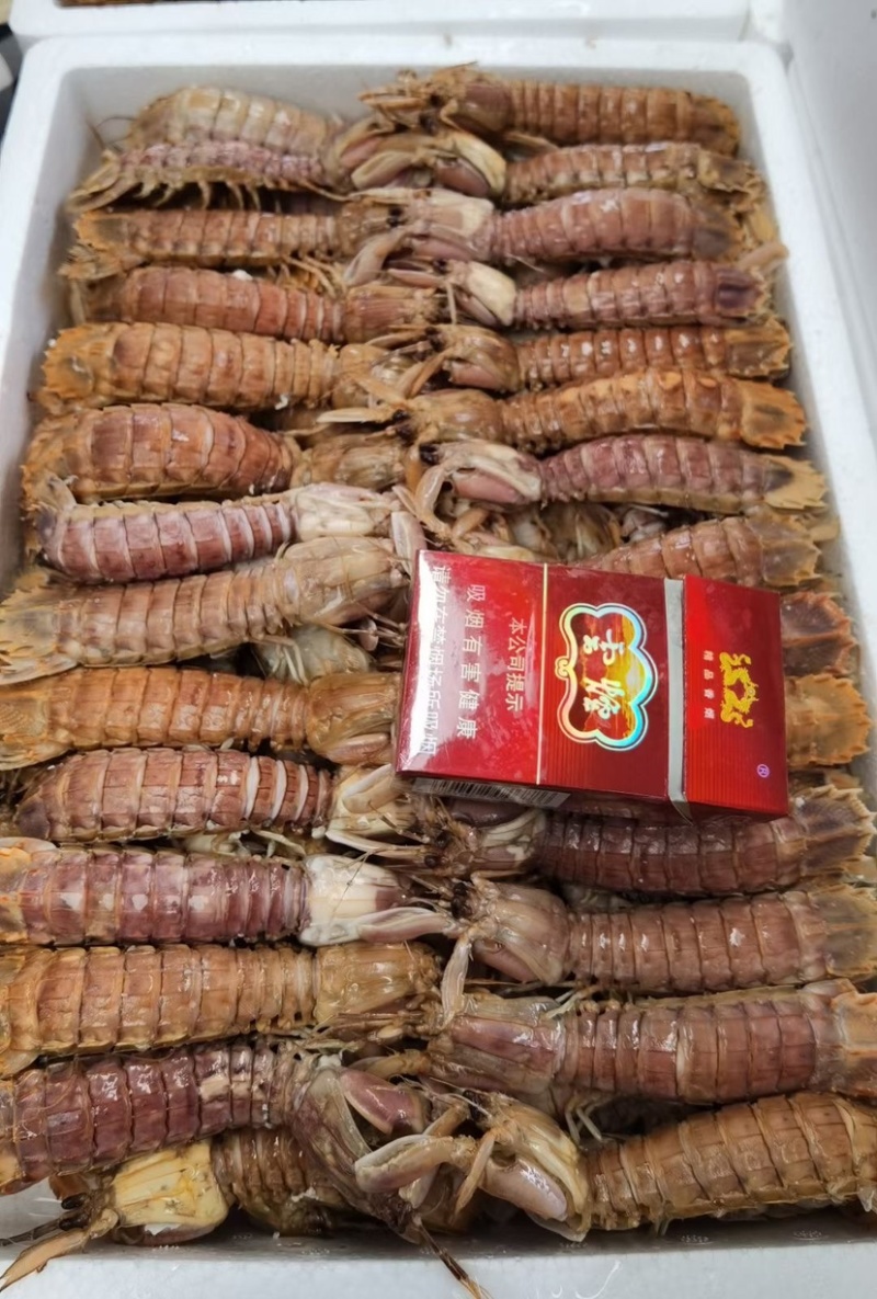 熟冻皮皮虾