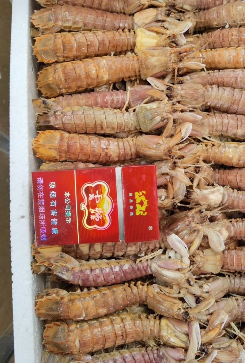 熟冻皮皮虾