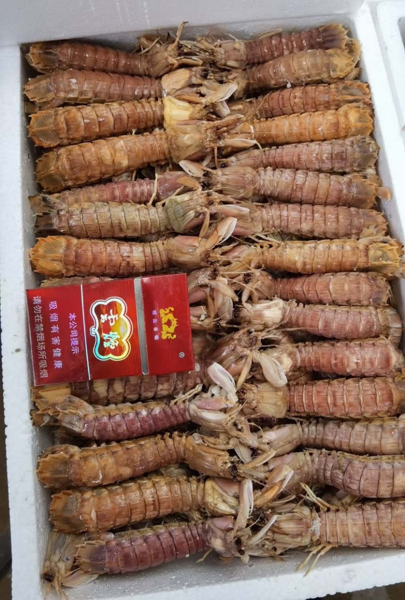 熟冻皮皮虾