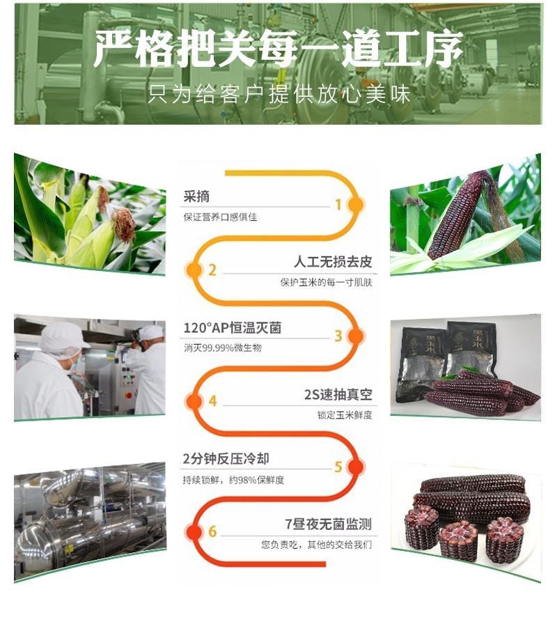 山西忻州精品甜糯黑糯玉米支持全国一件代发集采落地配