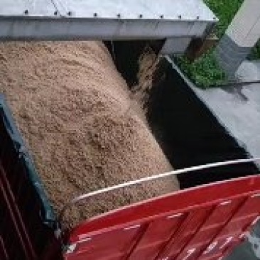 啤酒糟，蛋白含量高，牛养猪育肥实用
