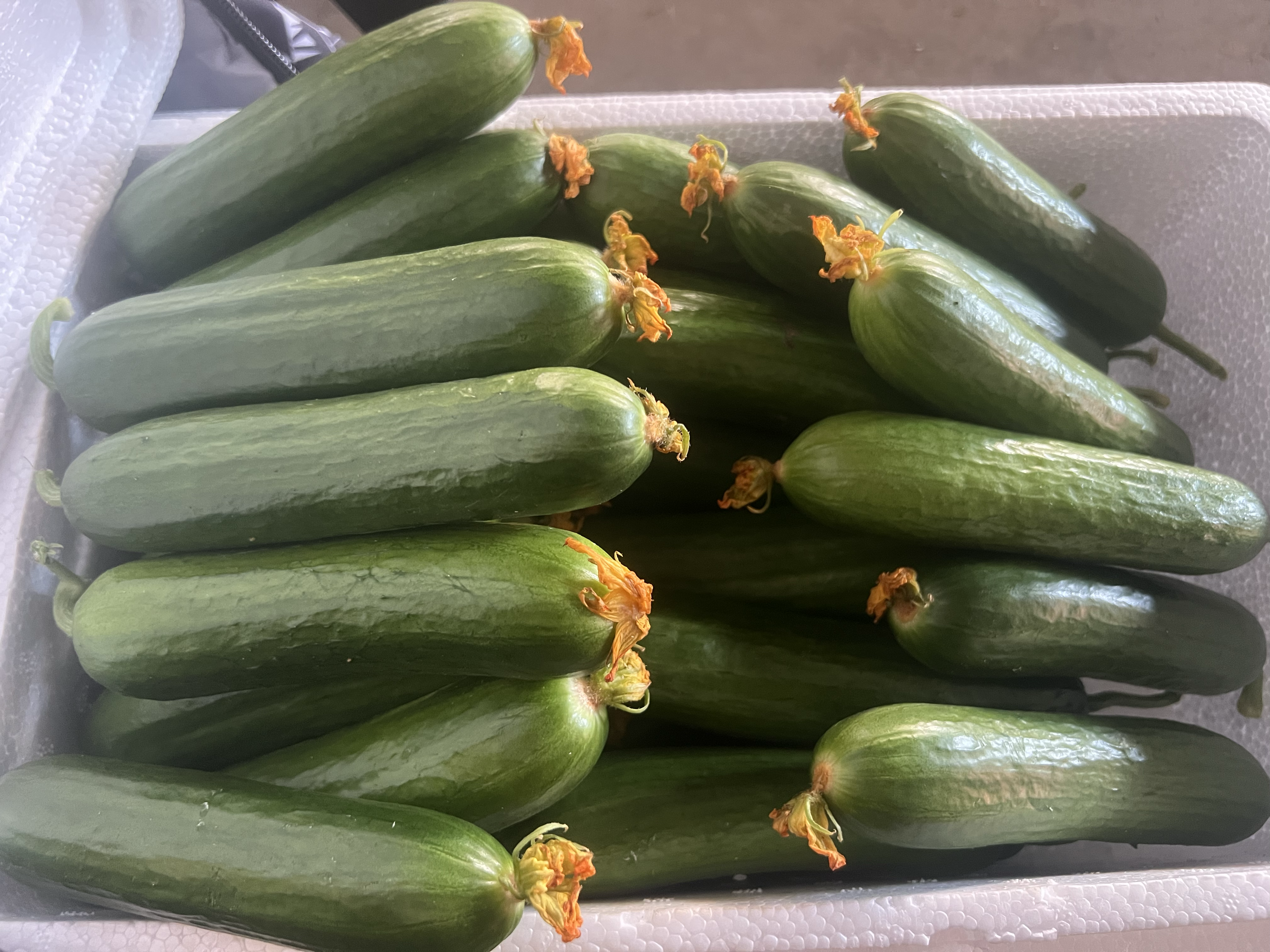 黄瓜与健康饮食搭配