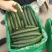 大量大量大量黄瓜上市中，欢迎新老客户来电咨询