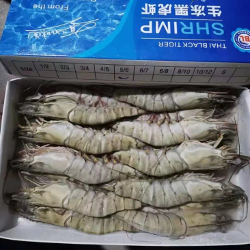 生冻黑虎虾件10盒黑虎虾大量现货全规格现货