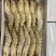 生冻黑虎虾件10盒黑虎虾大量现货全规格现货