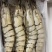 生冻黑虎虾件10盒黑虎虾大量现货全规格现货