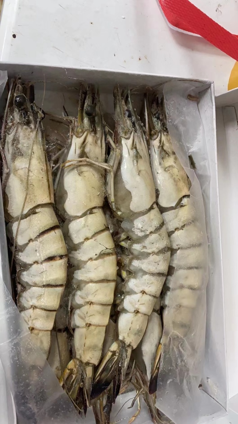 生冻黑虎虾件10盒黑虎虾大量现货全规格现货