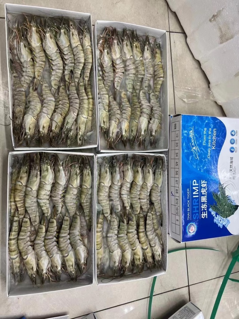 生冻黑虎虾件10盒黑虎虾大量现货全规格现货