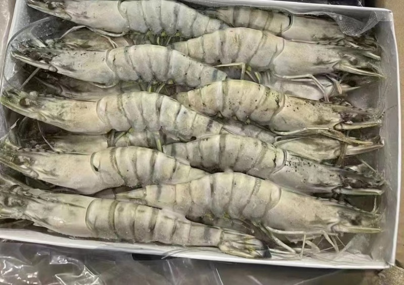 生冻黑虎虾件10盒黑虎虾大量现货全规格现货