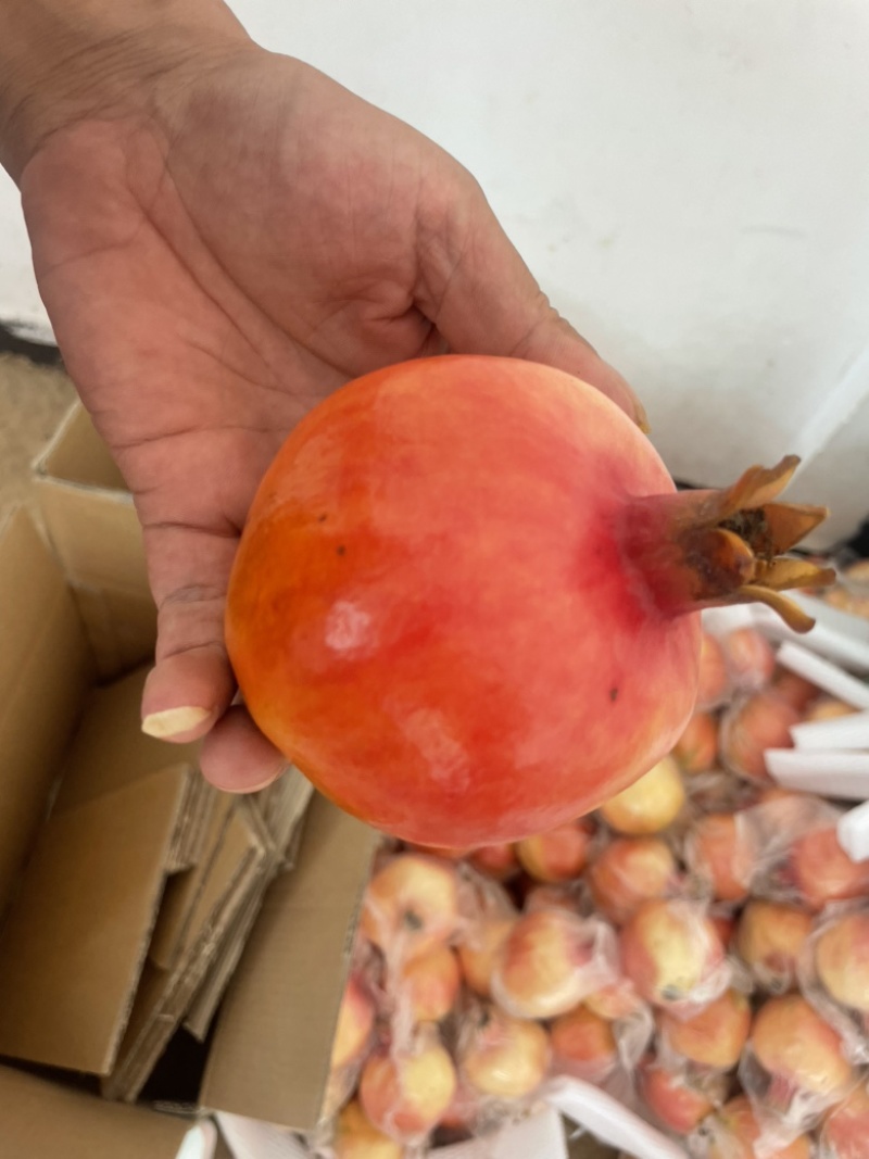 蒙自甜石榴，货源充足稳定，味道正宗美味，原产地直发