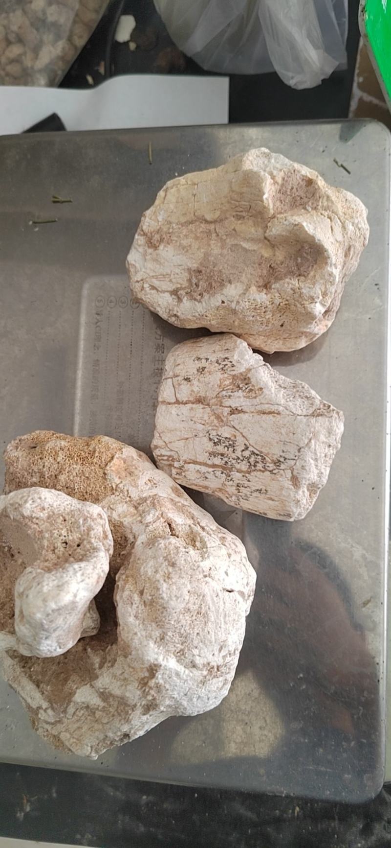 白芷，白芷片，无硫白芷，药用，大料白芷，自产自销产地山东