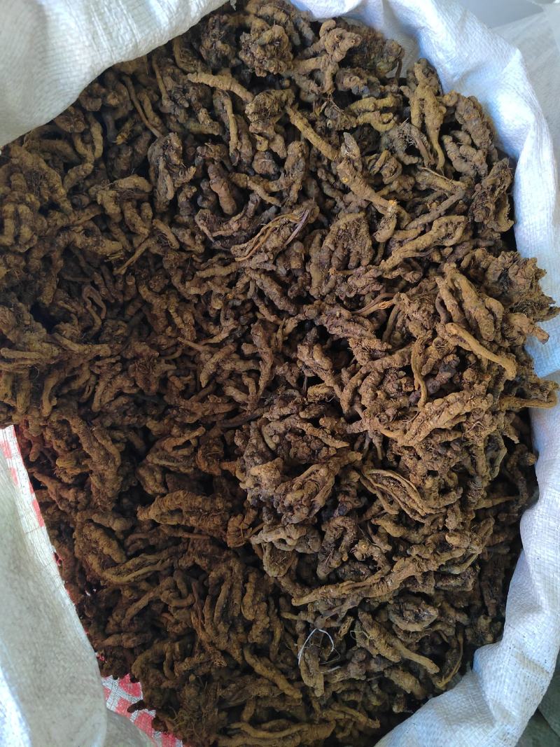 黄连，选黄连，鸡爪黄连，一手货源大货批发。