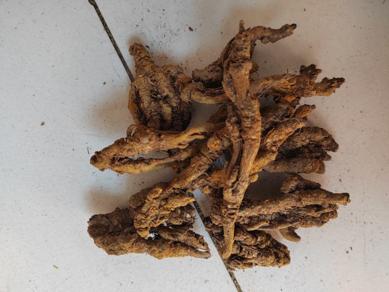 黄连，选黄连，鸡爪黄连，一手货源大货批发。