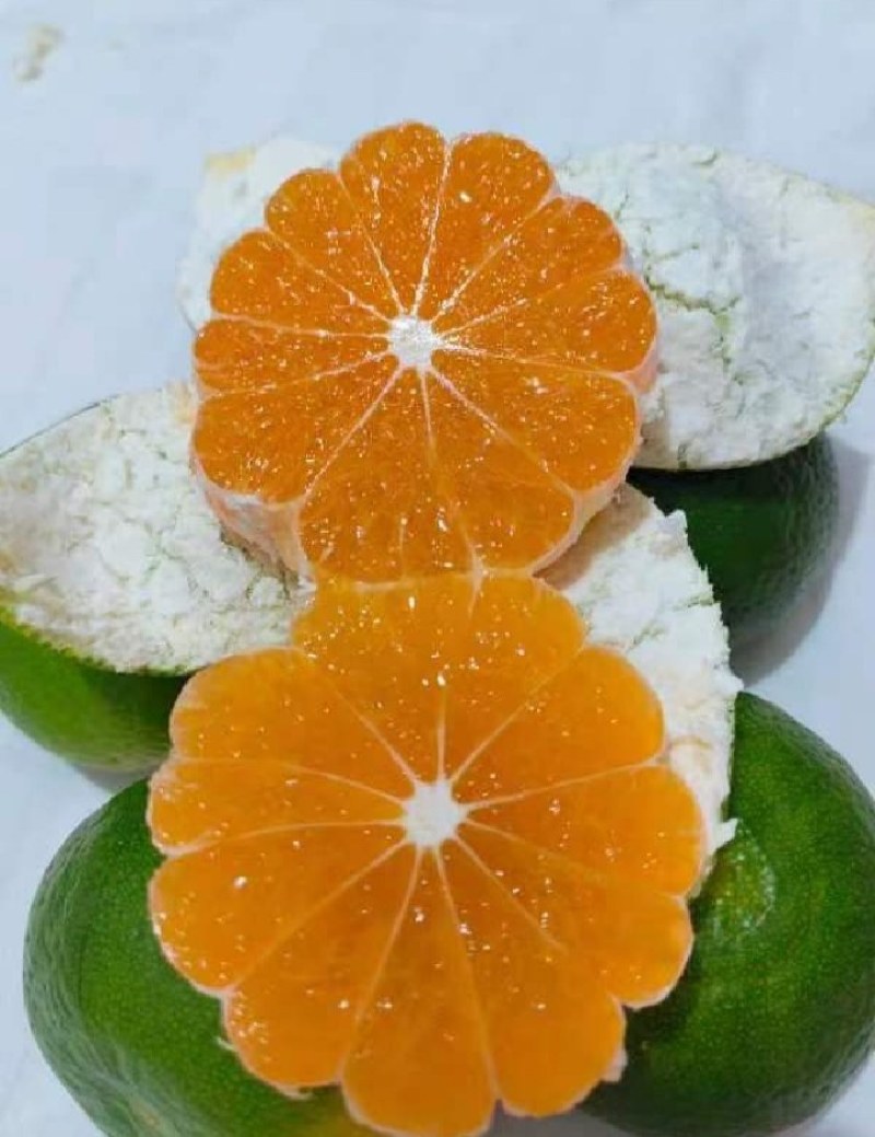 【蜜桔】特早蜜橘大量供应中酸甜可口坏烂包赔