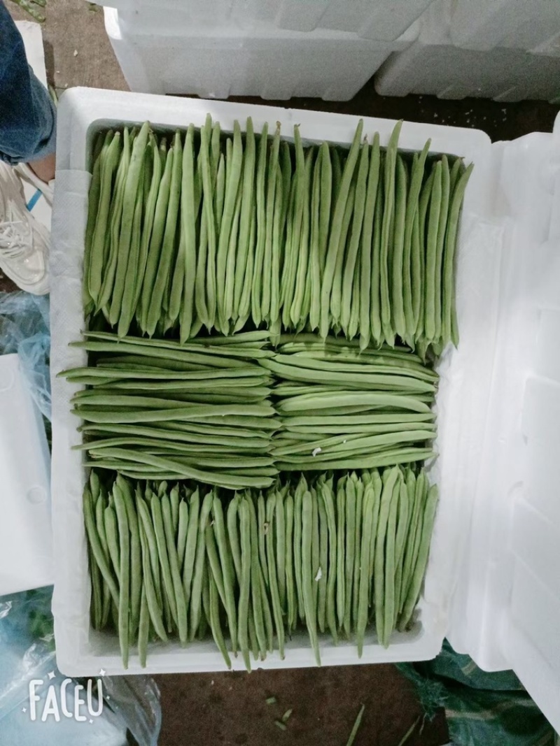 电商，市场货大量现货供应需要的联系
