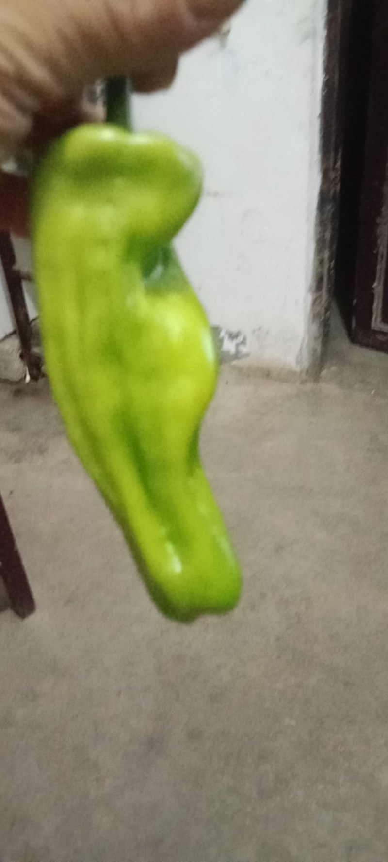 薄皮菜椒