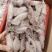 膏鱿，子乌，熟冻产品，膏鱿，子乌，熟冻产品