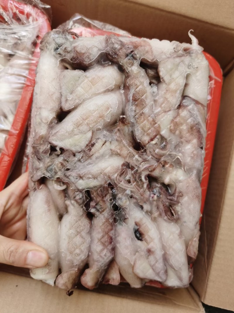 膏鱿，子乌，熟冻产品，膏鱿，子乌，熟冻产品