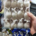 墨鱼仔各种冻货