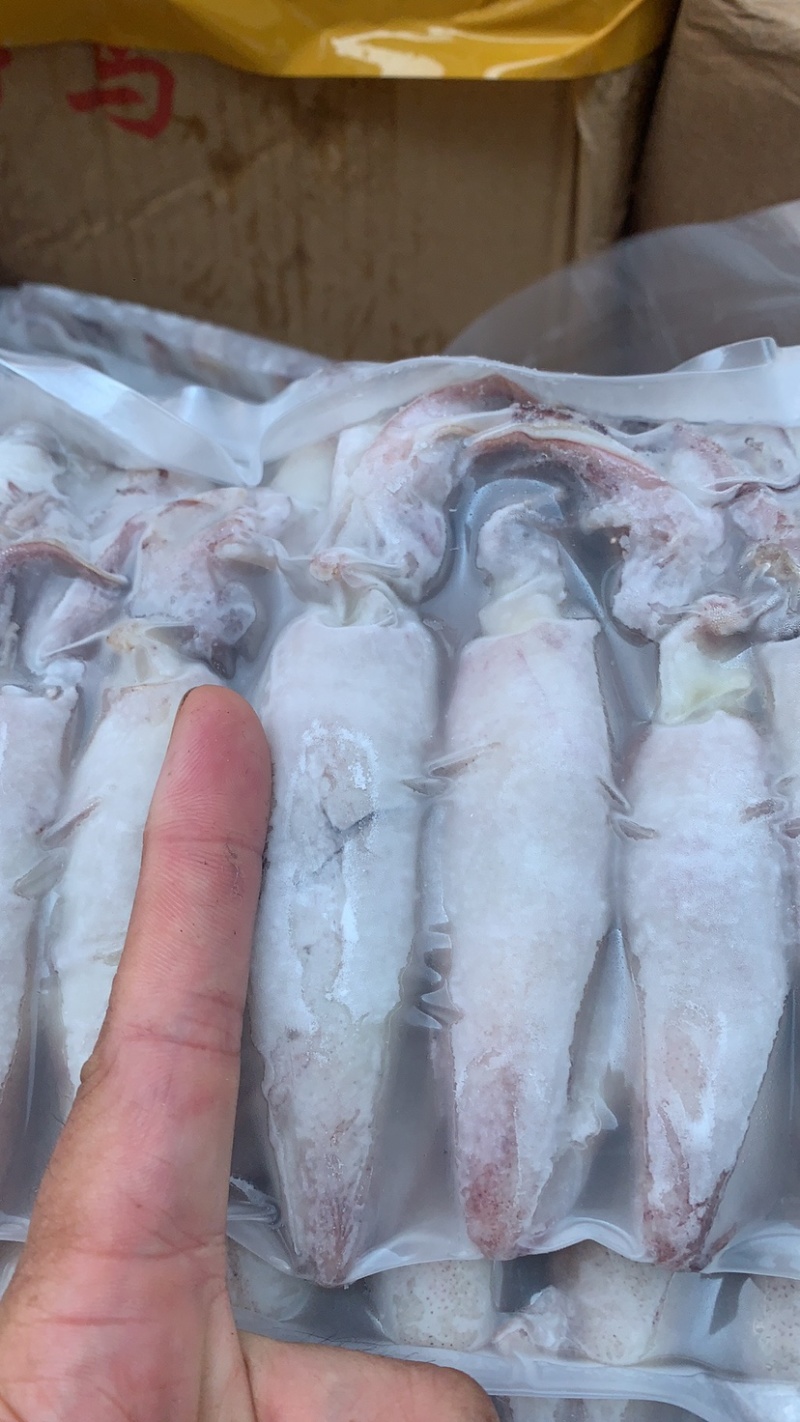 墨鱼仔各种冻货