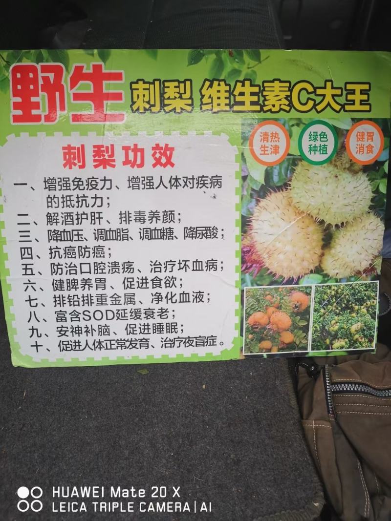冕宁刺梨代收代发三年经验质量保证全国发货。