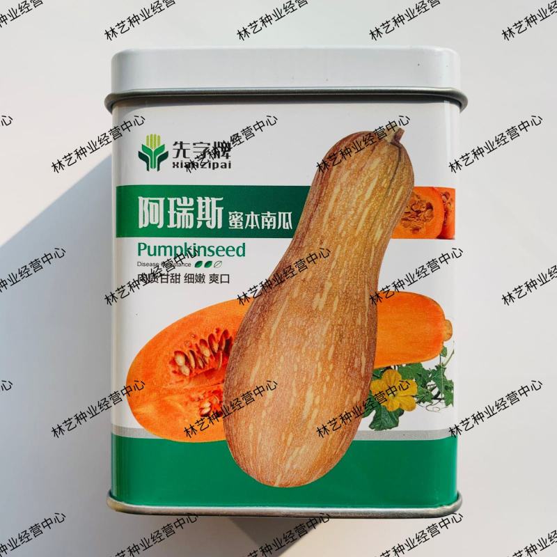阿瑞斯蜜本南瓜种子高产中早熟生长快南瓜种籽香甜面粉糯蔬菜