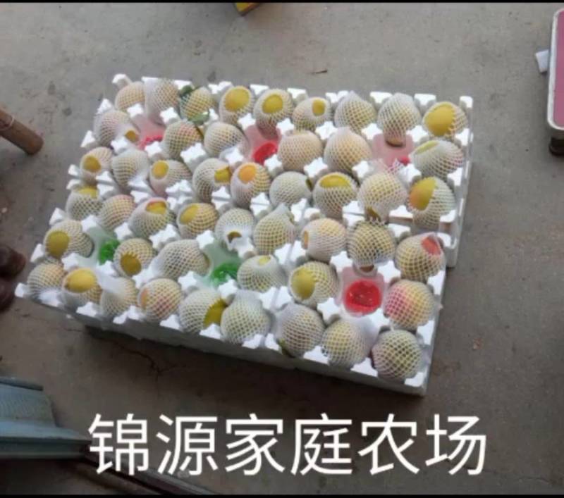 建宁锦绣黄桃