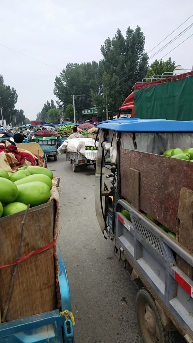 精品青茄子，质量超好，现摘现发，保证新鲜