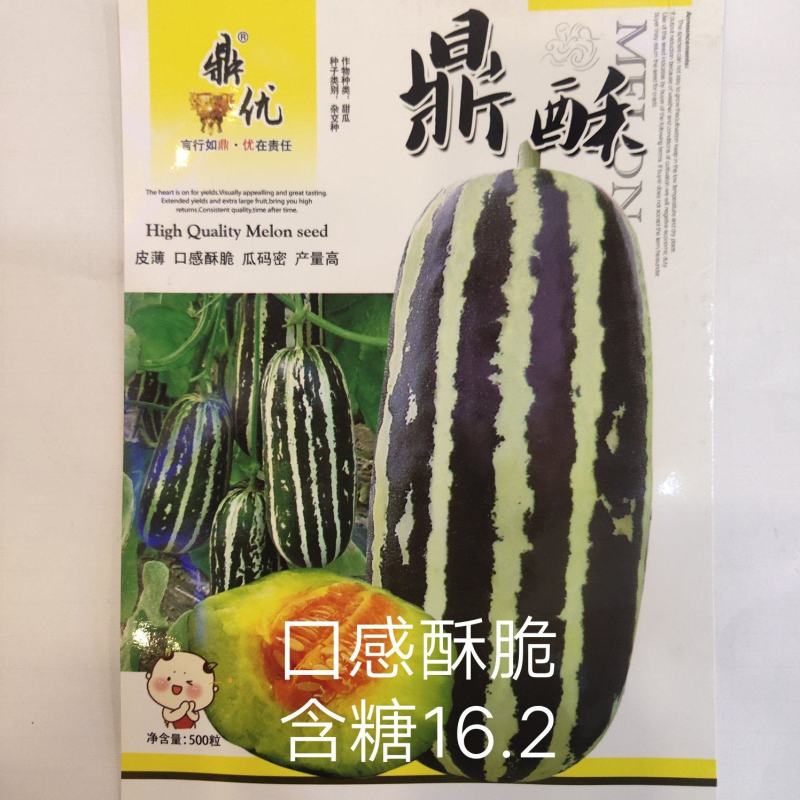 鼎酥薄皮甜瓜种子墨绿白色条带腔小，瓜香酥脆单瓜750克