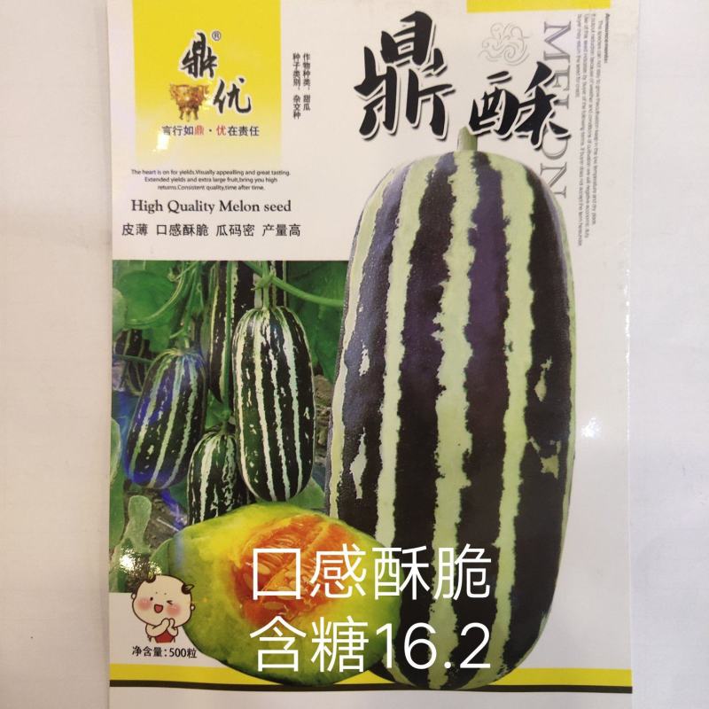 鼎酥薄皮甜瓜种子墨绿白色条带腔小，瓜香酥脆单瓜750克