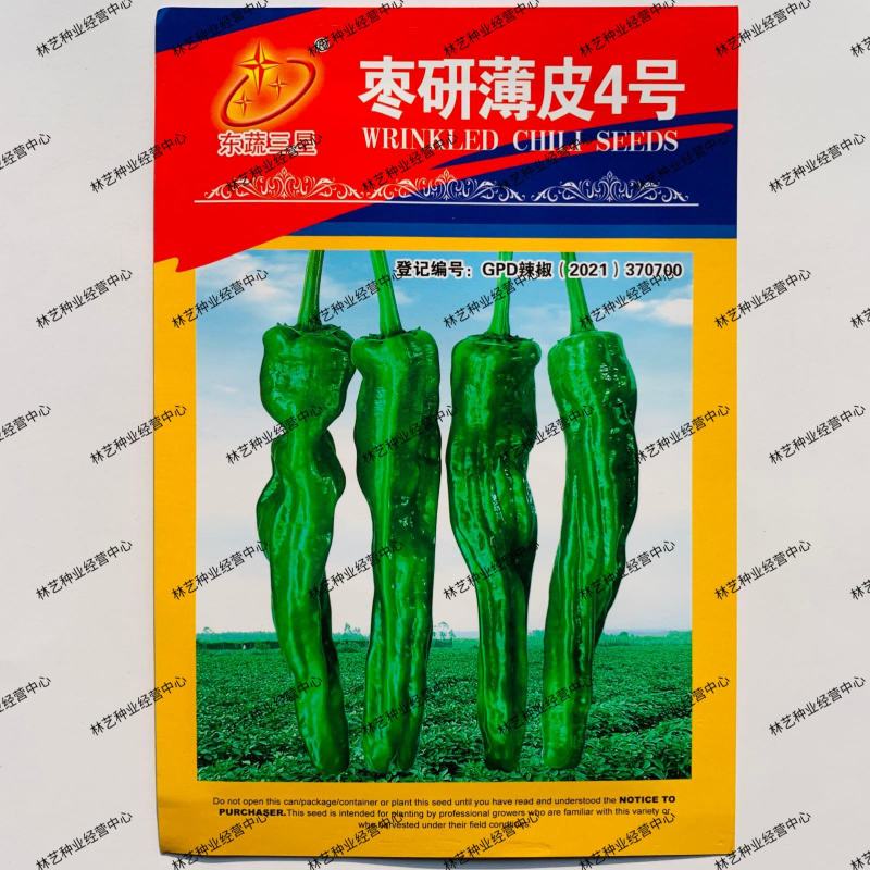 东蔬三星枣研薄皮4号辣椒种子超辣皱皮椒种籽春秋播种蔬菜