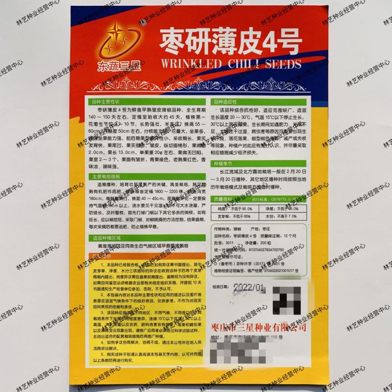 东蔬三星枣研薄皮4号辣椒种子超辣皱皮椒种籽春秋播种蔬菜