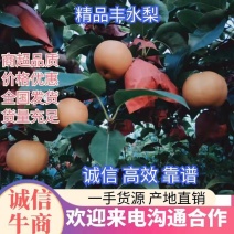 梨精品丰水梨江苏万亩梨园