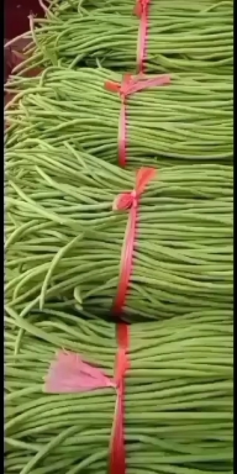 瓜果蔬菜专业种植区域质量优，价格美丽，我愿真诚为广大客商