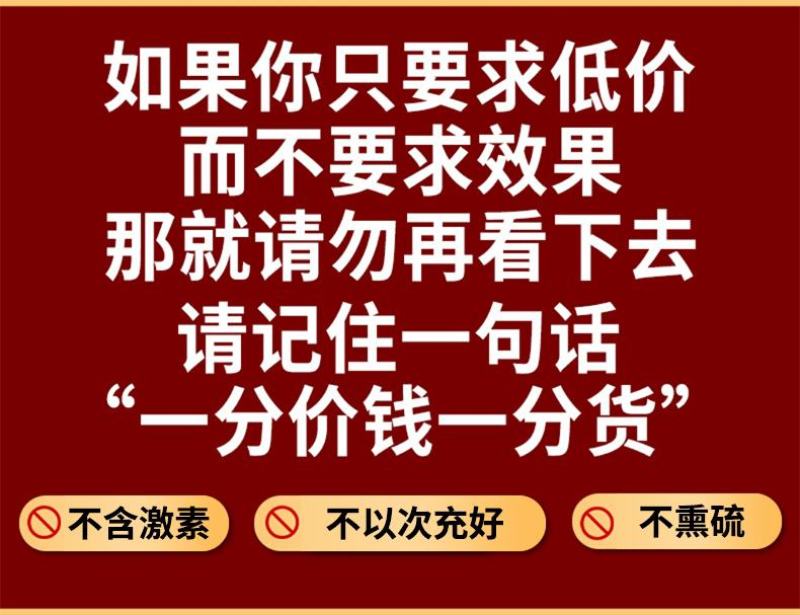 泡酒料20鞭王85味中药药男性十全大补健身强肾增长增粗