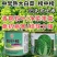 榜中榜大白菜种子中早熟65天青岛胶州高产秋播冬储大白菜