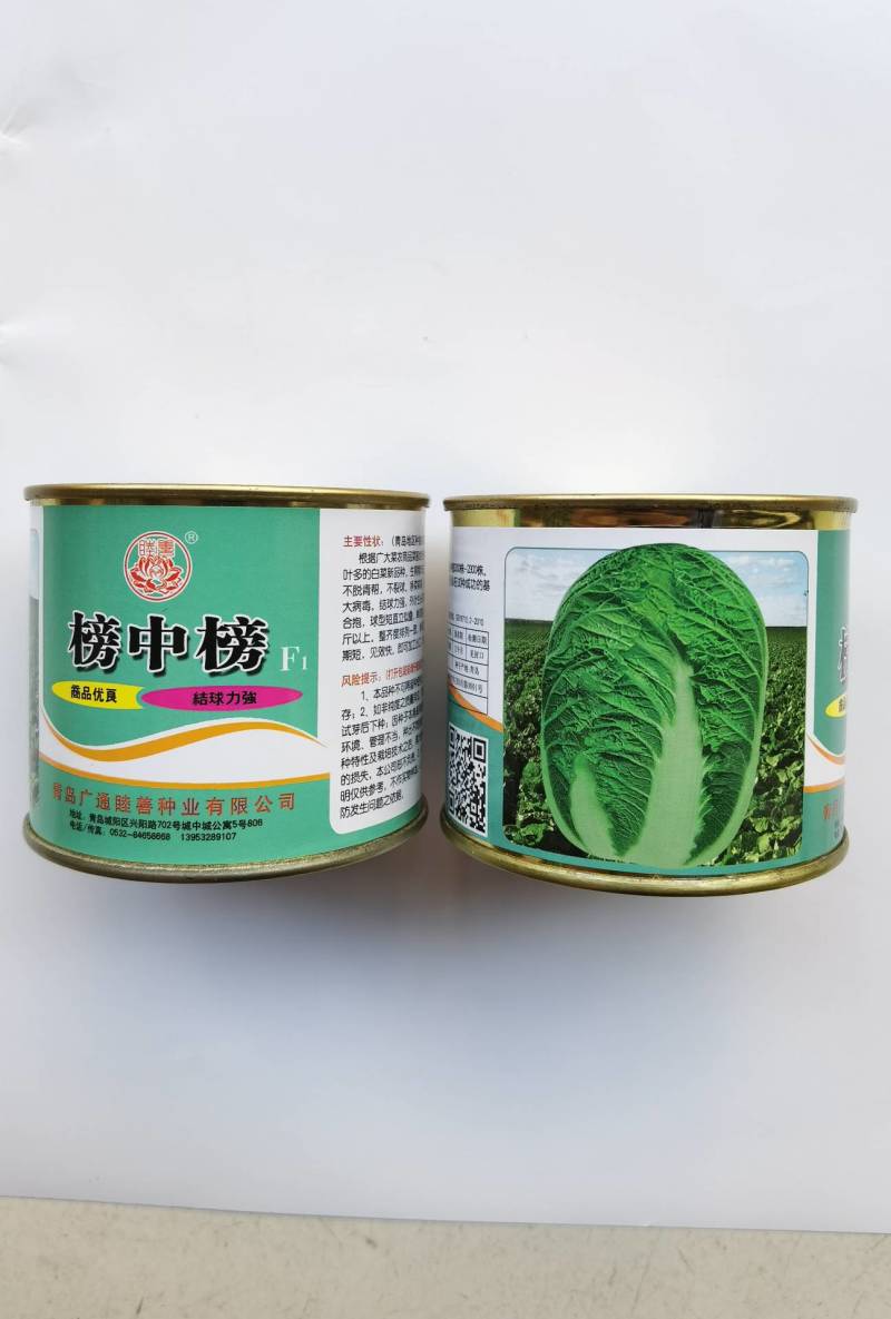 榜中榜大白菜种子中早熟65天青岛胶州高产秋播冬储大白菜