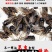 黑蝉，黑知了，老知了，蝉，活体速冻