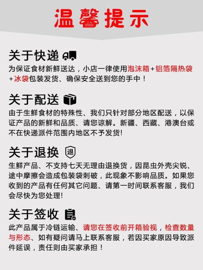黑蝉，黑知了，老知了，蝉，活体速冻