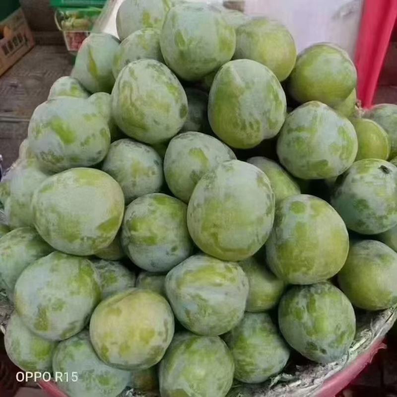 湖南文明半条被子水果之乡翡翠奈李