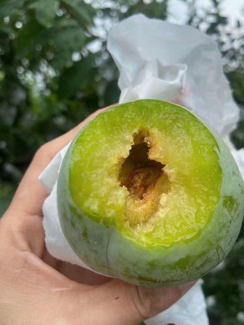湖南文明半条被子水果之乡翡翠奈李