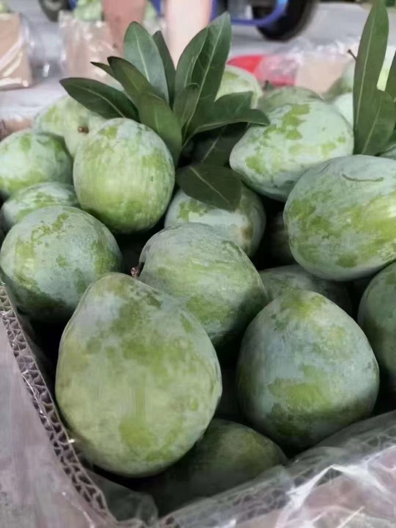 湖南文明半条被子水果之乡翡翠奈李