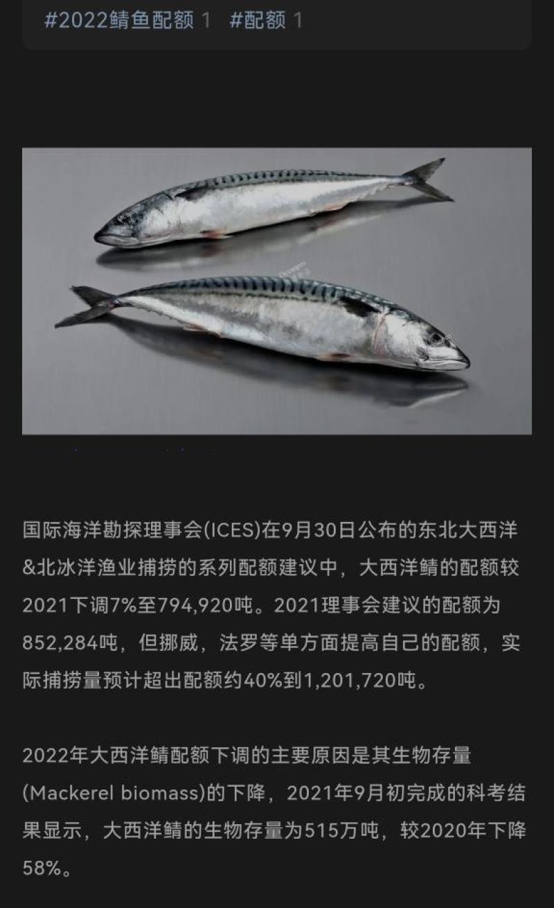 去头/去尾/去脏/海捕/原产挪威/鲭鱼/鲐鱼/青花鱼片