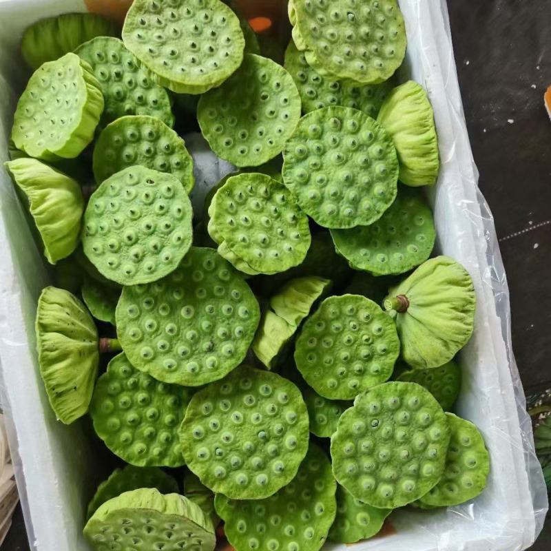 新鲜精品莲蓬，花莲，莲子。