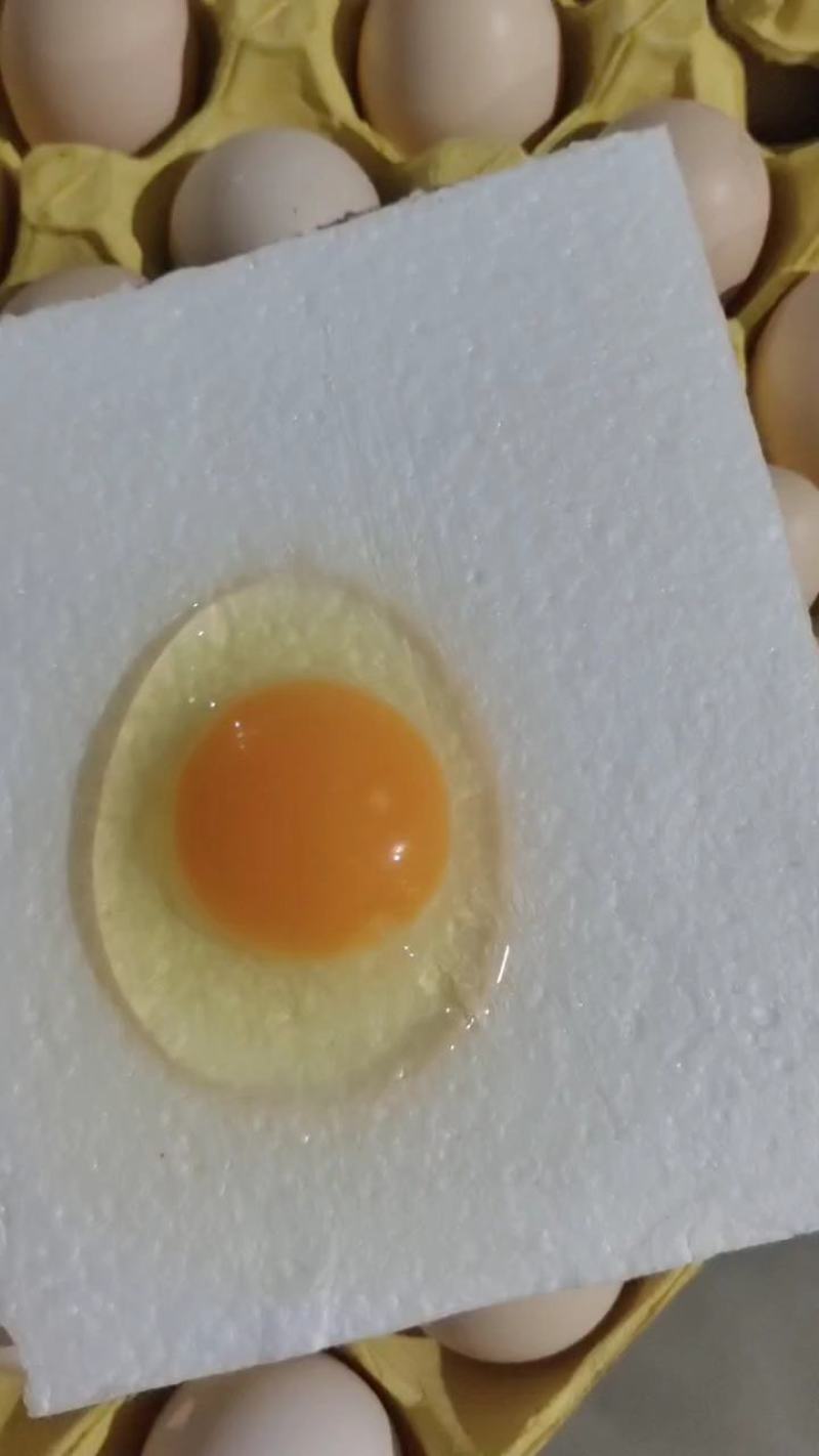 大量土鸡蛋，柴鸡蛋，天天有货养殖场直发，质量保证