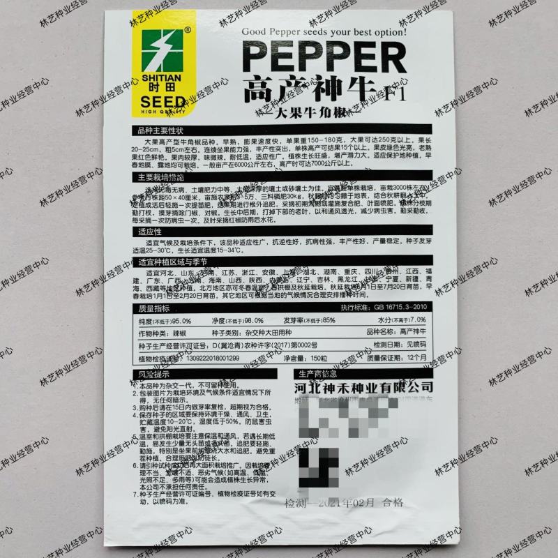 高产神牛F1辣椒种子大果牛角椒春秋播大果高产牛角椒大
