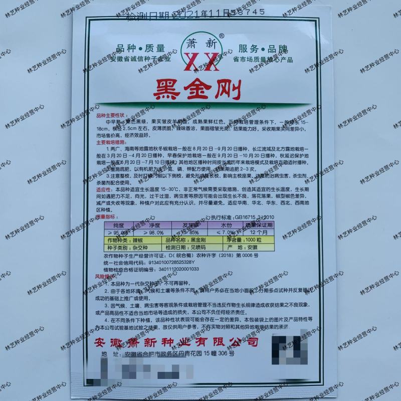 萧新黑金刚辣椒种子黑亮小皱皮长果皱皱椒香辣高产羊角型辣椒