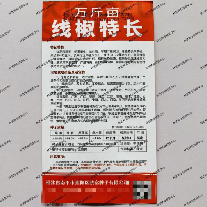 万斤亩线椒特长辣椒种子早熟抗病高产采收期长大田基地用蔬菜