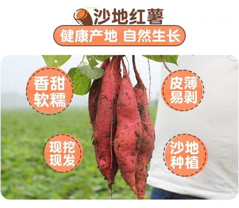【一件代发】沙地蜜薯西瓜红蜜薯代收代办蜜薯3斤5斤9斤